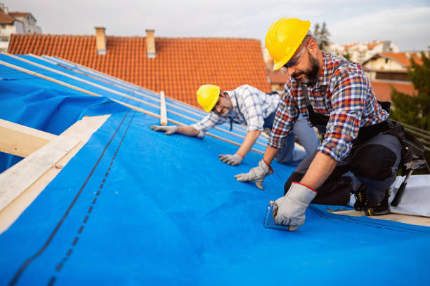 Best Flat Roof Repair Services  in New Cumberland, WV