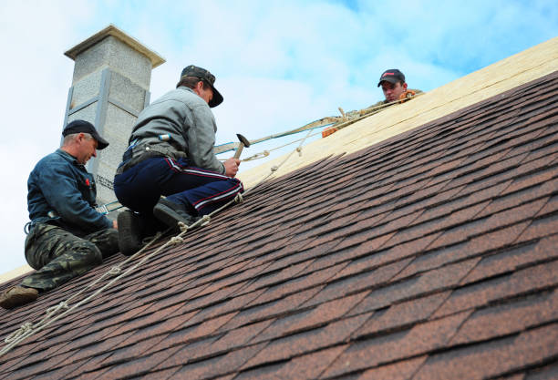 Roof Gutter Cleaning in New Cumberland, WV